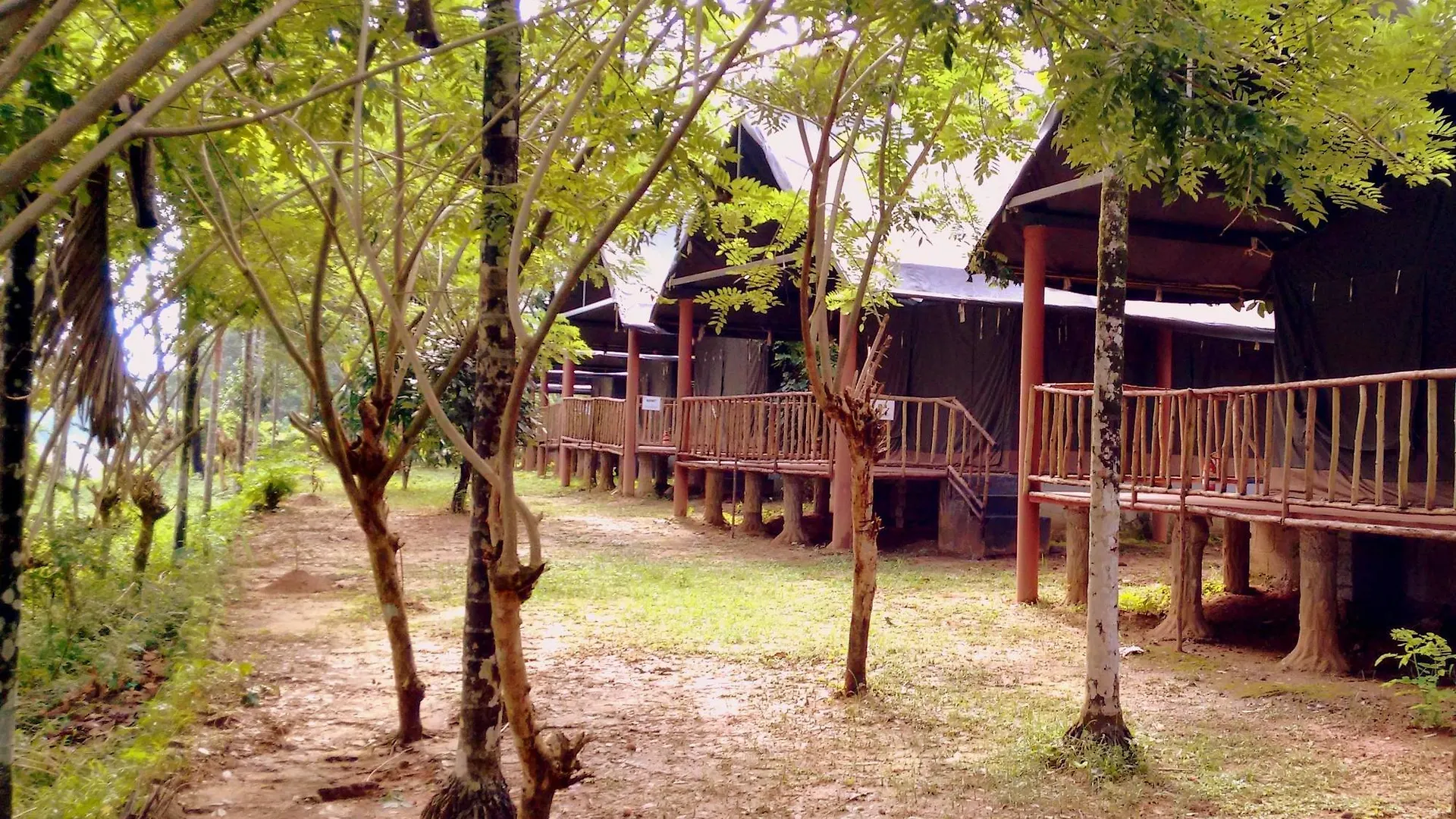 Hornbill Camp Thattekad Hotel Thattakād